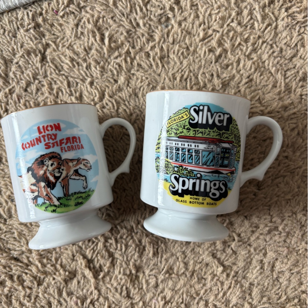 Florida Souvenir Mugs Set - White with Colorful Designs